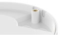 1200.png