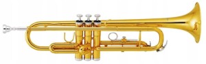 Trąbka - Sounder Gold Bb