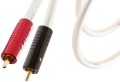 element_achromatic_rca_main.jpg