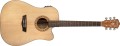 washburn-wd-7-sce-n_1000004173.jpg