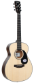 pol_pl_Gitara-akustyczna-SAGA-GS600-NA-2242_1.png