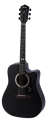 pol_pl_Gitara-elektro-akustyczna-Mantic-GT-10DCE-BK-2266_1.png