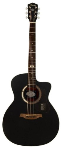 pol_pl_Gitara-akustyczna-Mantic-GT-10GC-BK-2256_1.jpg