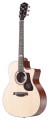 pol_pl_Gitara-akustyczna-Mantic-GT-10GC-NA-2255_1.jpg