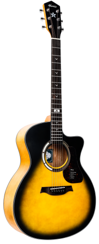 pol_pl_Gitara-akustyczna-Mantic-GT-10GC-SB-2261_1.png