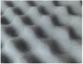 dna_amr2_3.png