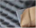 dna_amr2_4.png
