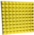 dna_am2_yl_1.png