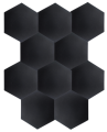 dna_am3_bk_2.png