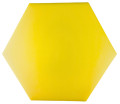 dna_am3_yl_1.png
