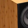 big_davis-acoustics-mv-one-master-dna-audio-09.jpg