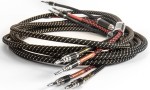  Kabel głośnikowy (konfekcjonowany) - TCI King Cobra Silver Carbon  | RATY 0% | SALA ODSŁUCHOWA POZNAŃ