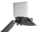 LP-BASIC-4.jpg