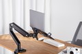 LP-BASIC-8.jpg