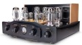 pier-audio-ms88se-mk2-dna-audio-07.jpg