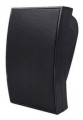 pol_pl_Glosnik-100V-NSP-NG-04-Black-2125_1.jpg