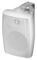 pol_pl_Glosnik-100V-NSP-NY-313-White-2131_2.png
