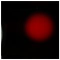 light4me_red_line_wash_4x40w_g_owica_ruchoma_led_7.3.2025_2.png