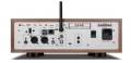 big_leak-trustream-orzech-04.webp