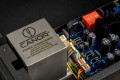 Canor_PH_2_10_09.jpg