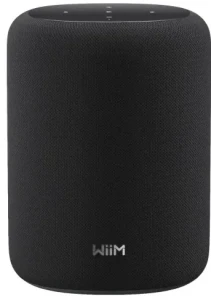 Inteligentny głośnik bezprzewodowy Wi-Fi, Bluetooth 5.3 z AI RoomFit - WiiM Sound Lite Black | RATY 0% | SALA ODSŁUCHOWA POZNAŃ 