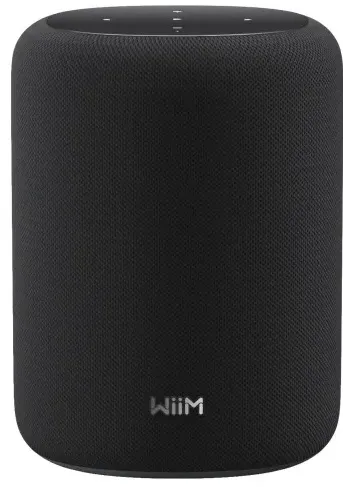 wiim-sound-lite-inteligentny-glosnik-bezprzewodowy-wi-fi-bluetooth-53-z-ai-roomfit (5).webp