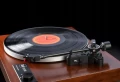 big_dual-cs518-orzech-07.webp