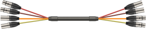Kabel wieloparowy - Roxtone MSL422CL0030 3m | RATY | SALA ODSŁUCHOWA POZNAŃ