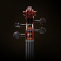 v-tone_vio_4-4_chn_detail_2.jpg