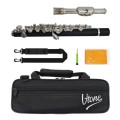 v-tone_piccolo_1_chn_zbiorcze.jpg