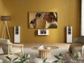 big_Environment-FR-2-and-LCR-2-White-Brown-Speakers-singer-on-tv.jpg