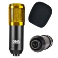 dna_studio_set_12.jpg