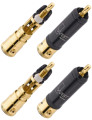 555-removebg-preview.png