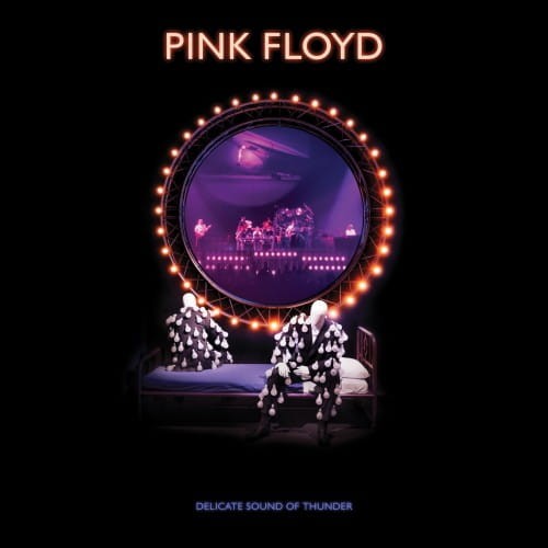 PINK-FLOYD---Delicate-Sound-of-Thunder-0190295215941.jpg