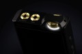 PAW Gold Touch #5.jpg