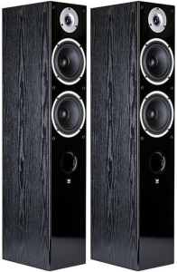 Kolumny podłogowe (para) - Wilson Raptor 7 Czarne