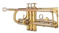 4v-tone-vtr-bb-trabka-do-nauki-z-futeralem-04.jpg