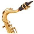 6v-tone-ts-100-saksofon-tenorowy-z-futeraem-zestaw-06.jpg