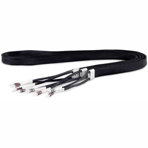 Tellurium Q Silver Diamond Speaker #1